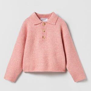 Zara Knit Polo Sweater